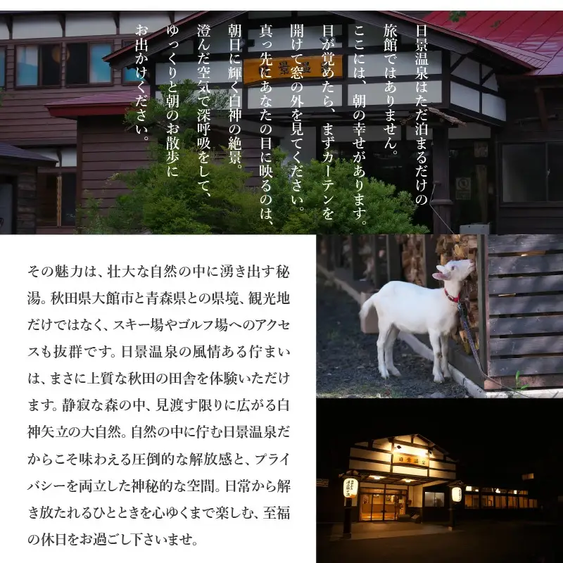 日景温泉1泊2食付きペア宿泊券　820P8401