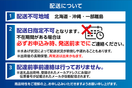 《先行予約》【訳あり】 セコガニ ボイル 7匹 【令和8年11月中旬以降発送予定】カニ かに  04-06