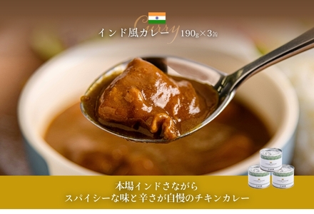 五島軒カレー10缶ギフト レトルト カレー _HD030-010