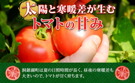 北海道 高橋農園 桃太郎トマト 4kg以上 M～Lサイズ (18玉～24玉) 5月下旬～9月上旬頃お届け 大玉トマト tomato 産地直送 農家直送 新鮮 野菜 安心 安全 とれたて 完熟 洞爺湖町 送料無料