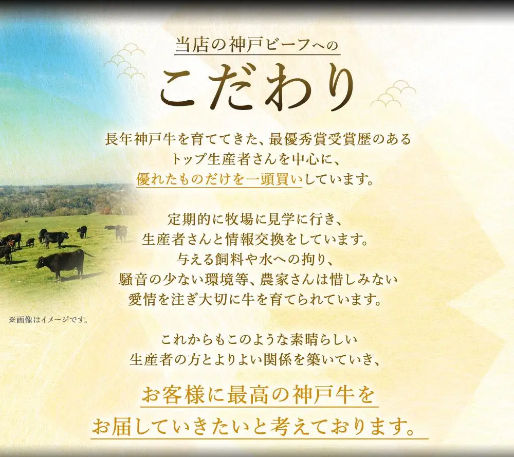A5等級神戸牛 やわらかサイコロステーキ 250g | A5 ランク 牛肉 国産 黒毛和牛 柔らか 肉 お肉 にく ブランド 部位様々 三角 ロース ウワミスジ ランプ等 霜降り 赤身 神戸ビーフ 但馬牛 焼くだけ 食べやすい 人気 おすすめ 兵庫