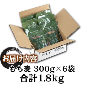 isa256 《訳あり・数量限定》鹿児島県伊佐市産もち麦！＜ダイシモチ＞(計3kg・500g×6袋) 国産 九州産 訳あり 麦 ごはん 穀類 お米 ヘルシー 腸活 食物繊維【社会福祉法人ひまわり福祉会】
