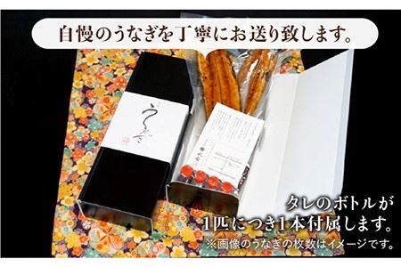 ふっくらジューシーのこだわりうなぎ【12回定期便】国産うなぎ蒲焼 6枚セット×12回[FAD016]