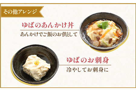 【大容量】五ケ山豆腐の濃厚ゆば鍋堪能セット（豆乳9本・にがり2本）【五ヶ山豆腐・株式会社愛しとーと】 大豆 イソフラボン 濃厚 一番搾り 飲みやすい  [FBY005]
