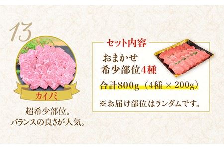 佐賀牛 希少部位 おまかせ4種 バラエティセット800g（4種×200g）ブランド牛 焼肉 セット [FAY041]