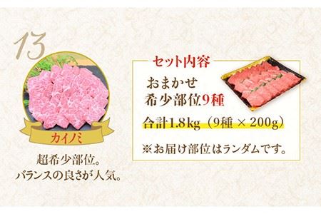 佐賀牛希少部位 おまかせ9種堪能セット1800g 合計1.8kg （9種×200g）焼肉 セット [FAY042]