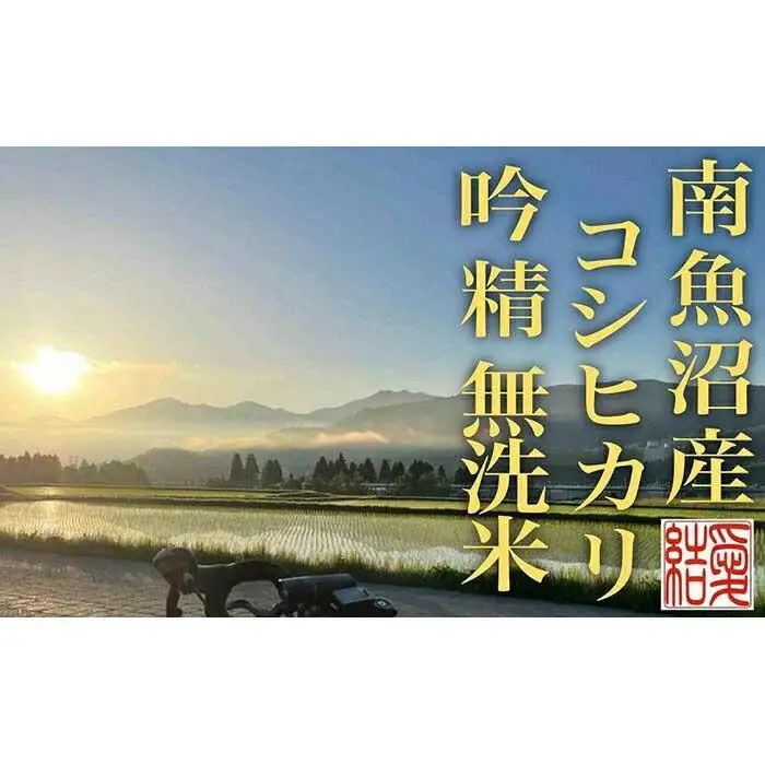 【令和7年産】【定期便6Kg×全12回【無洗米】 南魚沼産コシヒカリ【定期便 銘柄米 ブランド米 無洗米 こしひかり コシヒカリ 魚沼産 新潟米 産地直送 お米 米 こめ コメ ご飯 御飯 ごはん】