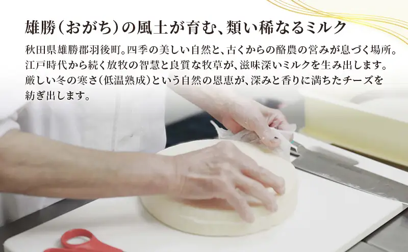 秋田 羽後 チーズアソート5種9個/フレッシュセット［明通りチーズ工房］モッツァレラ・カチョカバロ・スカモルツァ2種・カマンベールウォッシュ【 チーズ アソート 詰合せ セット バラエティ 乳製品 ワイン 麦酒 ビール 酒  食べ比べ 受賞 】