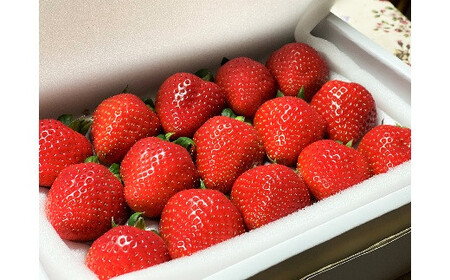 （予約受付中）【いちご定期便】（1月2月3月お届け）まるで赤いサファイア!!丹精込めた完熟いちご!! 約450g×3回 H130-013