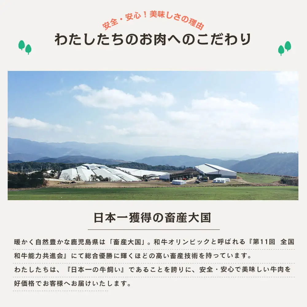 【カミチクブランド】鹿児島県産 上村牛すき焼き・しゃぶしゃぶ用 厳選部位600g（200g×3P） すきやき しゃぶしゃぶ 焼きしゃぶ すき焼き 牛丼 焼き肉 お肉 小分け 冷凍 カミチク