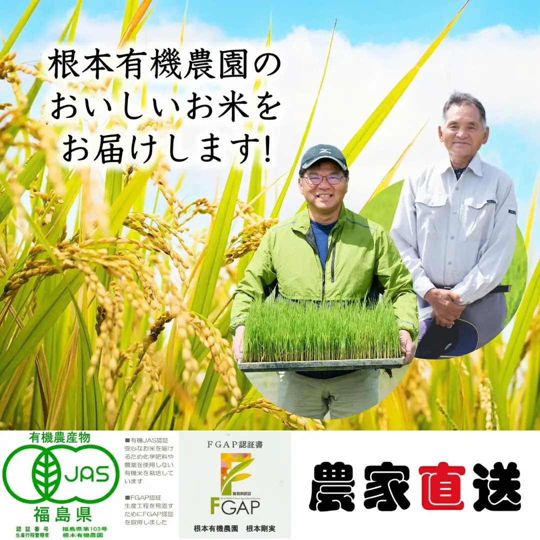 JAS有機米コシヒカリ 白米10kg | 令和7年産 根本有機農園