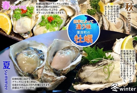 北海道厚岸産　殻付き＋ムキ身の牡蠣セット（生食用） 北海道 牡蠣 カキ かき 生食 生食用 むき身 むき牡蠣 殻付 ミルク 食べ比べ 魚貝類 生牡蠣 シーフード マルえもん
