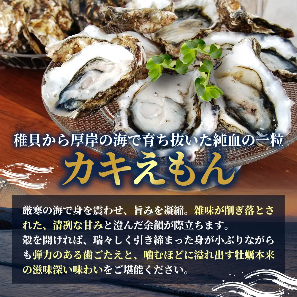北海道 厚岸産 殻付牡蠣の食べ比べセット！（生食用）  牡蠣 カキ かき 生食 生食用 生牡蠣  食べ比べ 魚貝類 