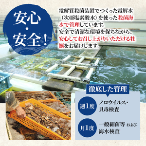 北海道厚岸産 牡蠣 Lサイズ 1ダース（12個入り） 生食用 生牡蠣 貝付き牡蠣 貝 海鮮 魚介類 シーフード 殻付き牡蠣 マルえもん メルマガ掲載商品1 