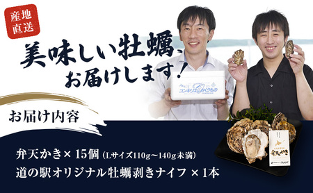 厚岸町 新ブランド 『 弁天かき 』 Lサイズ 15個  北海道 牡蠣 カキ かき 生食 生食用 生牡蠣 魚介類 魚貝類 