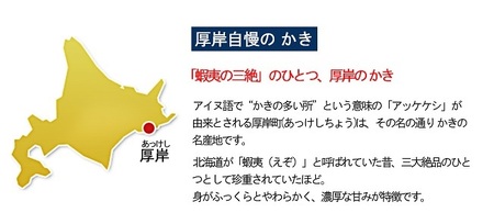 厚岸産ブランドかき カキえもん Lサイズ 15個セット 北海道 牡蠣 カキ かき 生食 生食用 生牡蠣 魚介類