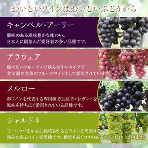 かぬま 里山わいん 輝き 赤ワイン 720ml お届け 入金確認後 14日～1ヶ月 お酒 