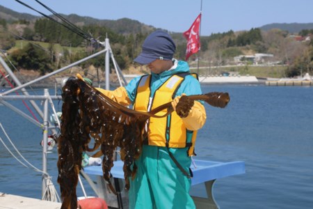 【一等級】三陸産わかめプレミアム 200g×1袋 わかめ [かわむら家 宮城県 気仙沼市 20564662]