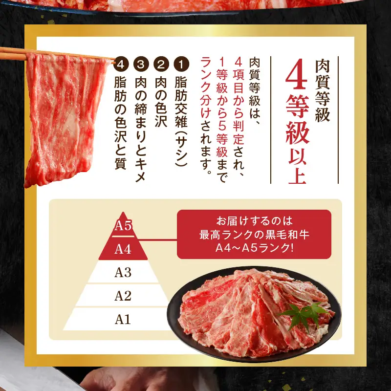 S001-001-T06A_【定期便6回】A4～A5等級 黒毛和牛切り落とし1kg（500g×2P）6か月連続お届け / 【定期便】 6回 ミシュランビブグルマン 獲得 黒毛和牛 切り落とし 500g × 2パック A4 〜 A5等級 特選 毎月届く 肉 牛肉 和牛 国産 サシ 霜降り 黒毛和種 炒め物 牛丼 肉じゃが 肉うどん 熊本県 天草市 お取り寄せ グルメ 送料無料