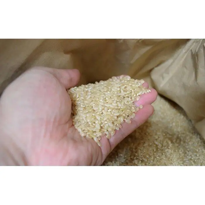 定期便【令和8年産新米予約】玄米5kg×6回 南魚沼産コシヒカリ＜6ヶ月定期便＞農家直送_AG【定期便 銘柄米 ブランド米 玄米 こしひかり コシヒカリ 魚沼産 新潟米】【令和8年9月下旬から1ヶ月以内に順次発送予定】