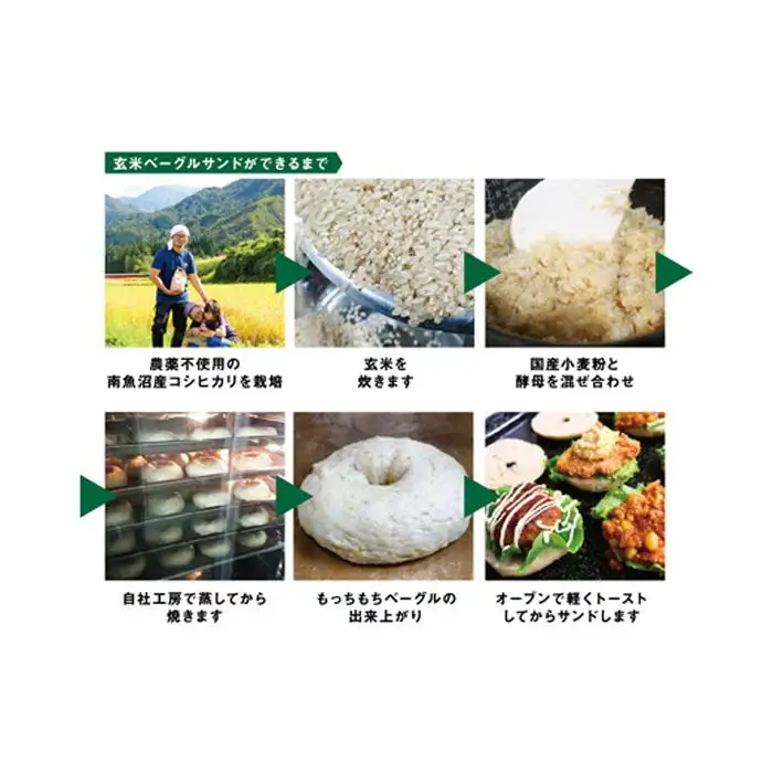 ＜頒布会＞玄米ベーグル10個【冷凍】×3か月 栄養豊富・毎朝の習慣に_BR