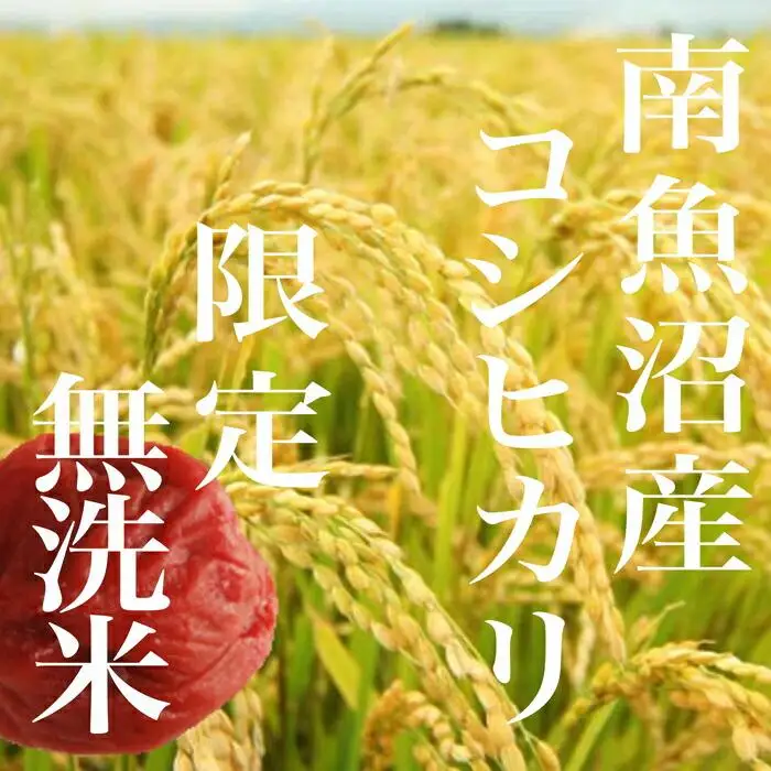 【令和7年産】【定期便】《無洗米》南魚沼産コシヒカリ２Kg×全6回