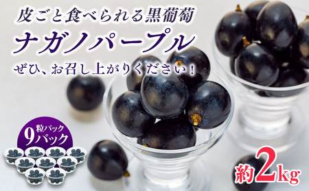 ぶどう 皮ごと食べられる 黒ぶどう ナガノパープル 粒パック 約2kg フルーツ 果物