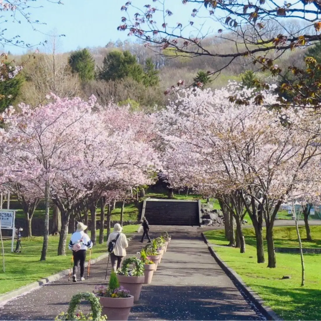 【未来の子供達のために】町の公園を守りたい！トートバッグ Kuriyama Park Fund 