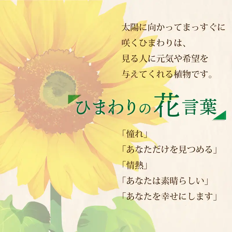 枯れないお花 ひまわりバスケット ( ソープフラワー 石鹸 せっけん プレゼント 花 フラワー ひまわり ヒマワリ フラワーギフト )【122-0003】