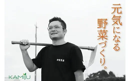 【2026年発送】事前予約 やみつき極うま “金の生落花生” 1kg(500g×2袋) 生ピーナッツ 塩ゆで専用　H105-195