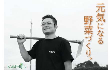 【2026年発送】事前予約 やみつき極うま “金の生落花生” 1.5kg(500g×3袋) 生ピーナッツ 塩ゆで専用　H105-196