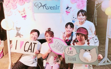 【南の島の動物愛護活動】保護猫活動等をサポート（5千円）- ねこ ネコ 地域猫 保護活動 支援 応援 さくらねこ 動物愛護 保護 里親 寄附のみ 沖縄県 八重瀬町