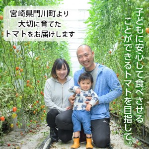 カラフルトマト食べ比べセット(約2kg・9品種の中から4品種以上)国産 宮崎県産 とまと 野菜 サラダ 黄色 オレンジ みどり 紫 アイコ 赤 セレブスイート【KT-2】【K.TFarm】