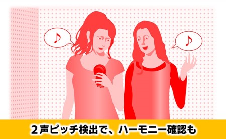 【11月上旬お届け】【Roland】ボーカルトレーナー/VT-12-BK【配送不可：離島】 雑貨 日用品 オーディオ機器 