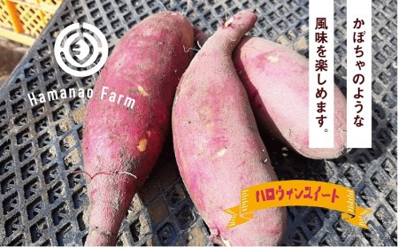 A1-5415／焼き芋アイス 3種類セット(6カップ)