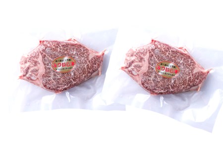 北海道産 黒毛和牛 みついし牛 A5 ヒレステーキ 計 300g (約150g×2枚) フィレ ヘレ