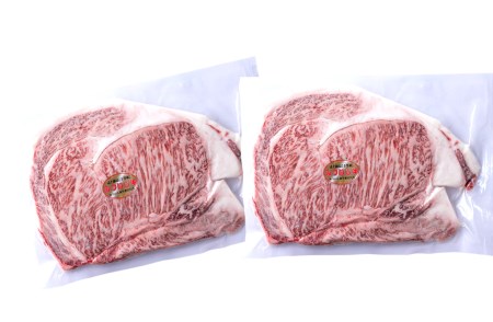 北海道産 黒毛和牛 みついし牛 A5 サーロインステーキ 計 500g (約250g×2枚)