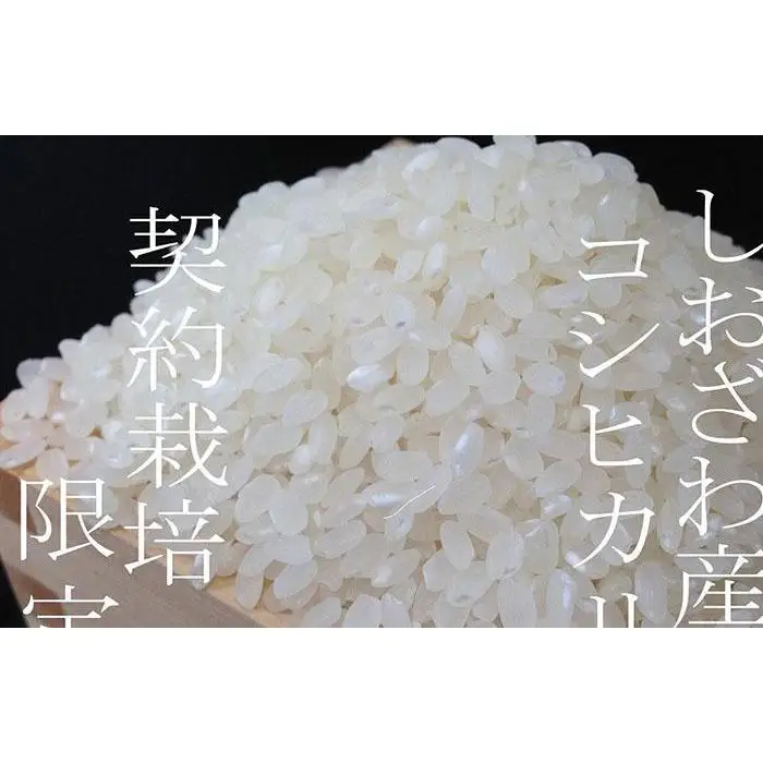 【令和7年産】契約栽培限定 南魚沼しおざわ産コシヒカリ15Kg【銘柄米 ブランド米 精米 こしひかり コシヒカリ 魚沼産 新潟米 産地直送 お米 米 こめ コメ ご飯 御飯 ごはん】