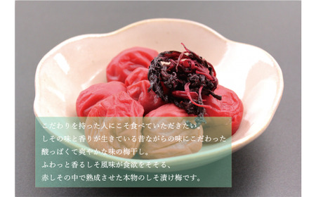 梅干し 【贈答用】紀州南高梅 食べ比べセット 500g×2　（しそ風味・うす味） 梅干し【inm900-4C】