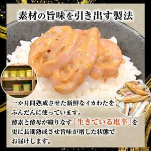 塩辛 無添加 昭和の塩辛 100g瓶×3本 セット 珍味 詰め合わせ 海産物 海鮮 魚介類 魚介 青森 いか イカ いか塩辛 ごはんのお供 ご飯のお供 おつまみ おつまみセット 加工食品 ※ご入金確認後 3ヶ月以内の発送になります。 青森県鰺ヶ沢町 