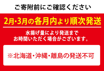 【0301103b】＜定期便・全2回(2月・3月)＞「冬の鮮魚BOX」朝獲れ発送！鮮魚問屋が厳選したおまかせ鮮魚(約2kg程度×2回)  魚 魚介類 鮮魚 海鮮 詰め合わせ セット 刺身 天ぷら 煮つけ 塩焼き【江川商店】