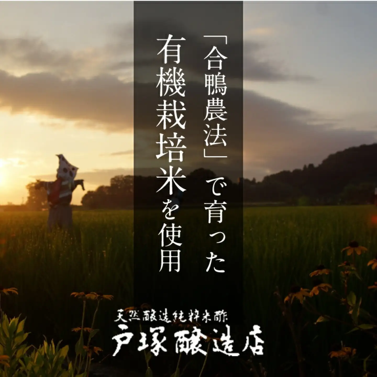 【お酢】優秀味覚賞受賞  心の酢「上澄み無濾過」1000ml 1本