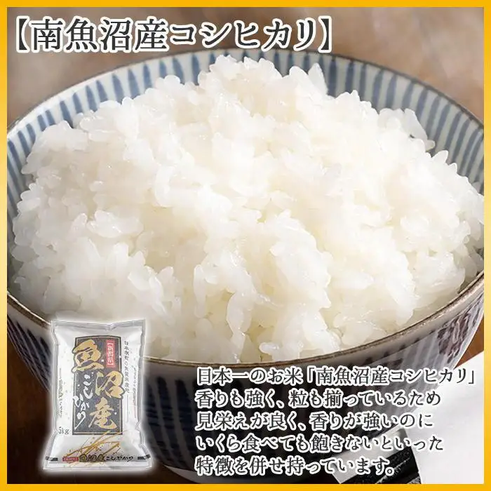 新潟県 南魚沼産 コシヒカリ 備蓄パックごはん200g 計10パック レンジ 簡単 巣籠 セット