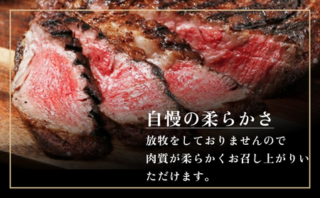 トマホーク ステーキ 700g (350g × 2枚 ) 骨付きステーキ ステーキ 赤身 冷凍  短角 和牛 宮城県 石巻 石巻市 うしちゃんファーム ステーキ ステーキ ステーキ ステーキ ステーキ ステーキ