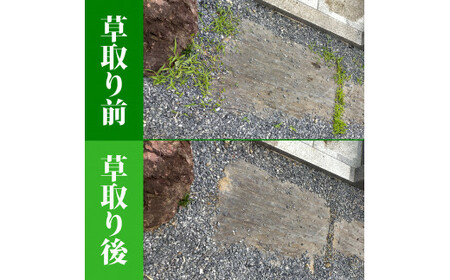 お墓参り代行／仏花の回収清掃付