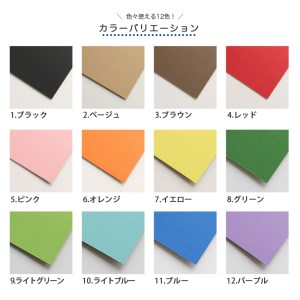 カラーダンボール【カラ × フル】12色セット 750サイズ【0063-001】工作 図工教材 工作キット 飾りつけ 学芸会 岐阜県 可児市