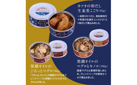 ★グルメ缶詰12缶セット〈黒潮町共通返礼品〉