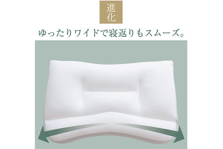 王様の夢 枕 2 低め タイプ 頚椎 首 支える 王様シリーズ 安眠枕 快眠枕 洗える 枕カバー 王様の夢枕 肩 サポート ストレートネック 日本製 誕生日 ギフト プレゼント まくらカバー 王様 寝姿勢 横向き 仰向け 男性 女性 おすすめ ピロー まくら 低い 高さ
