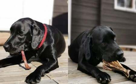 森のジビエ for PET 鹿あばら＆肩甲骨ジャーキーセット【中型・大型犬向け】ペットフード 犬 A-JK-A14A