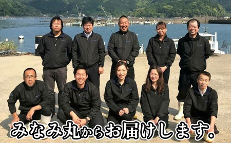 【 漬け丼 】 漬け丼鯛